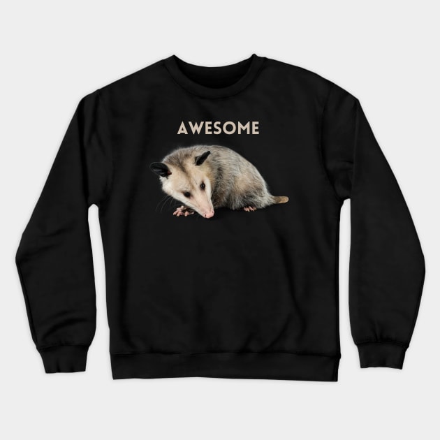 Awesome Opossum Crewneck Sweatshirt by tocksickart